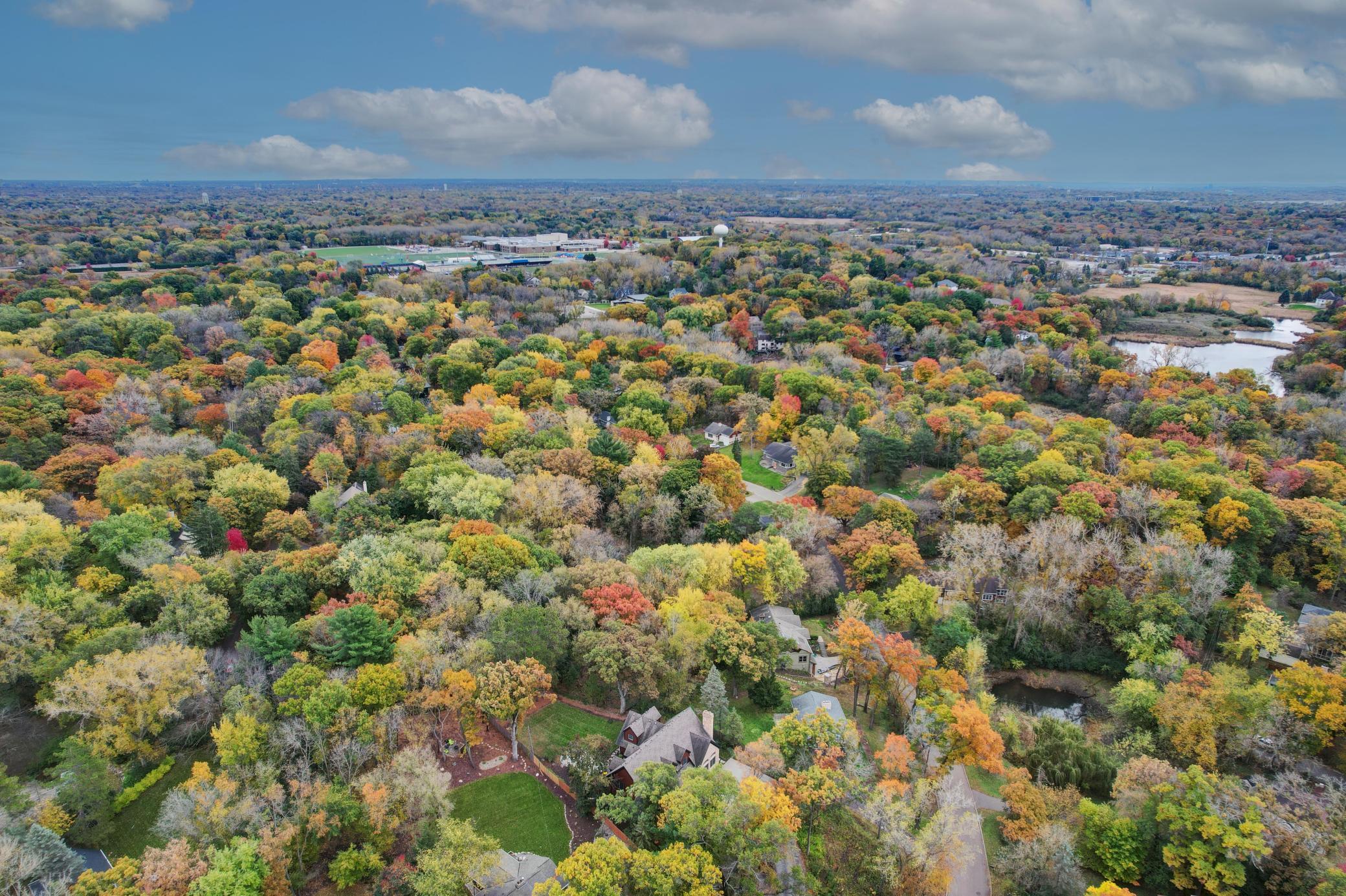 11625 Live Oak Drive