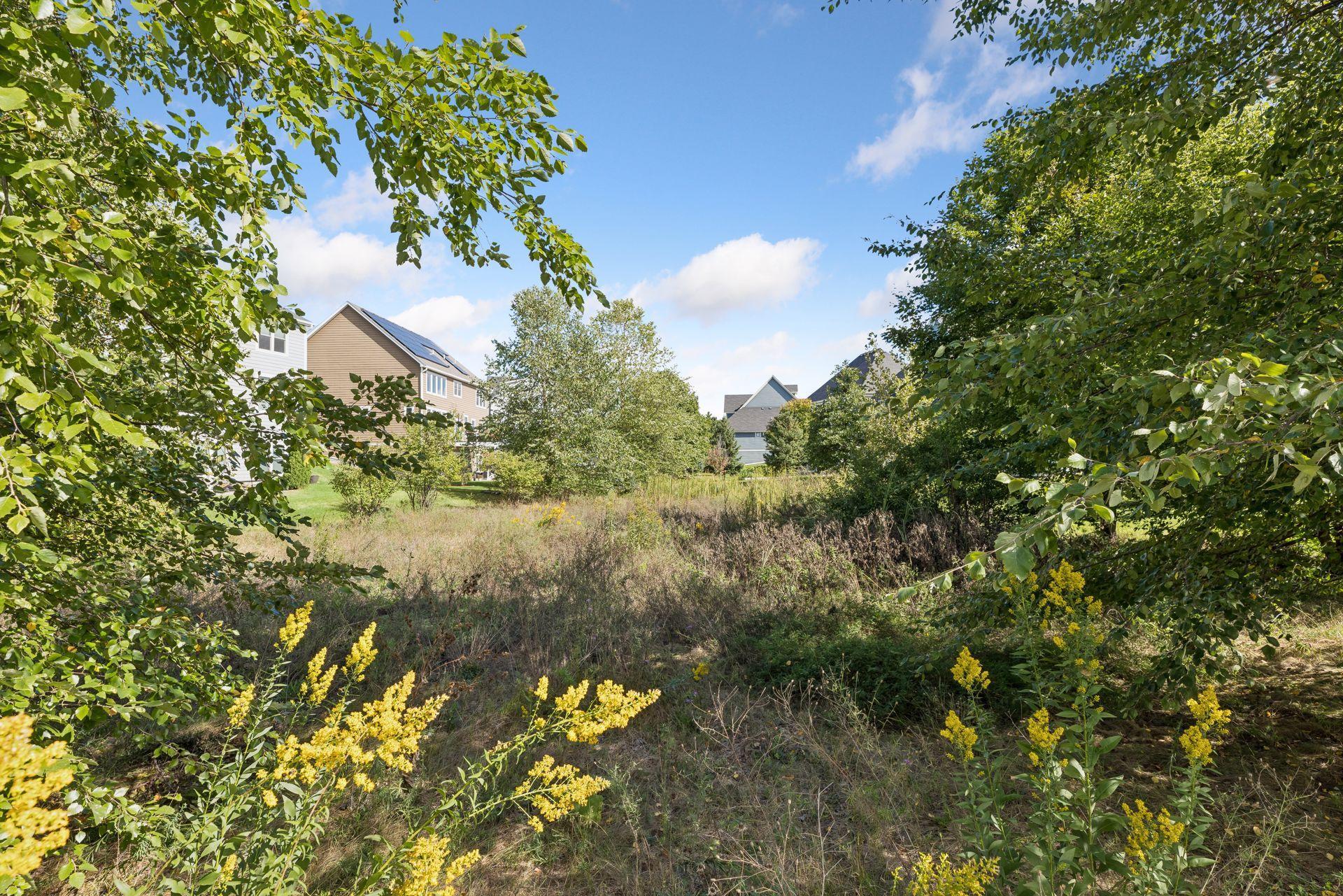 16736 Wuttke Crossing