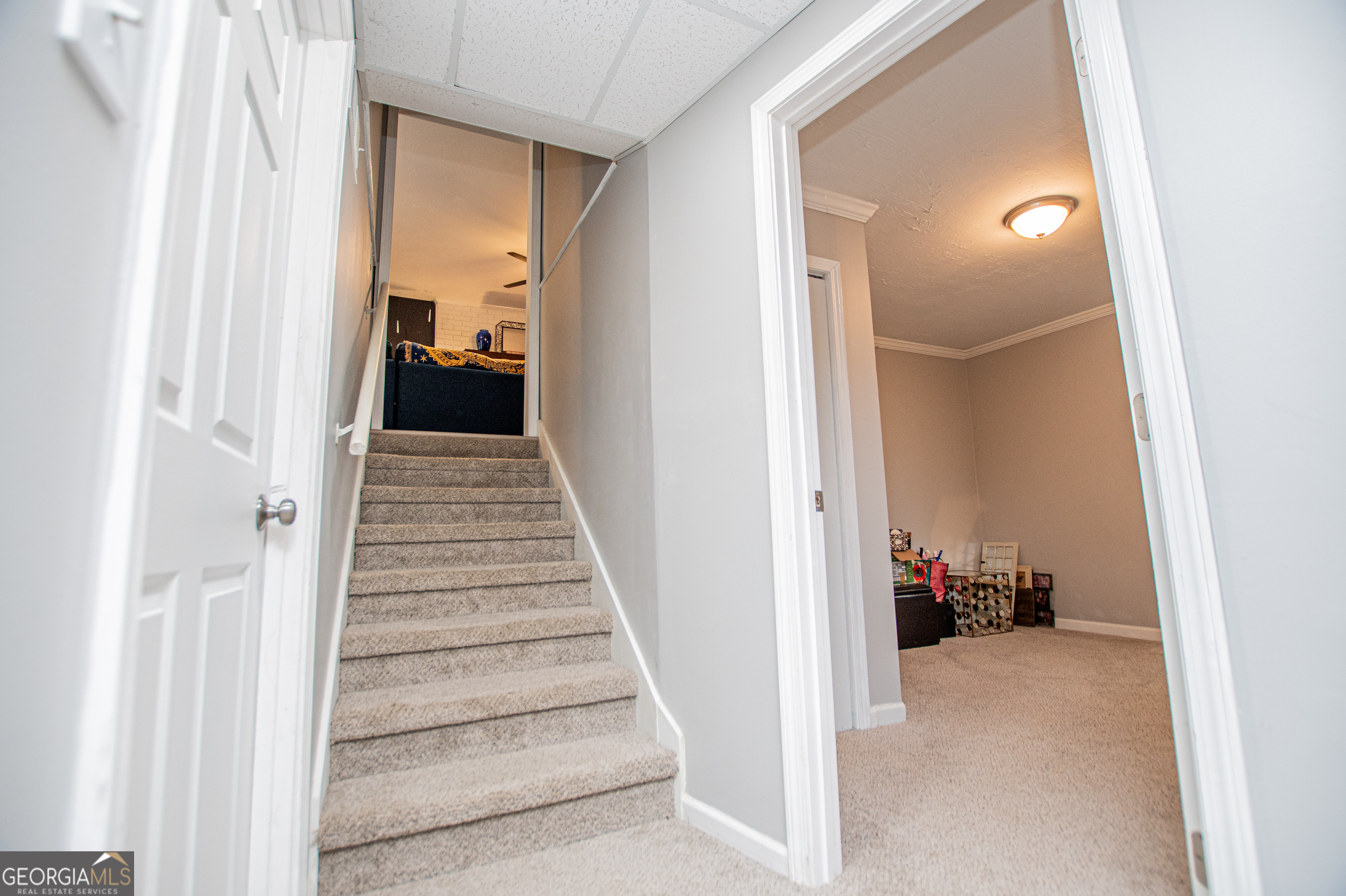 103 Shannon Drive