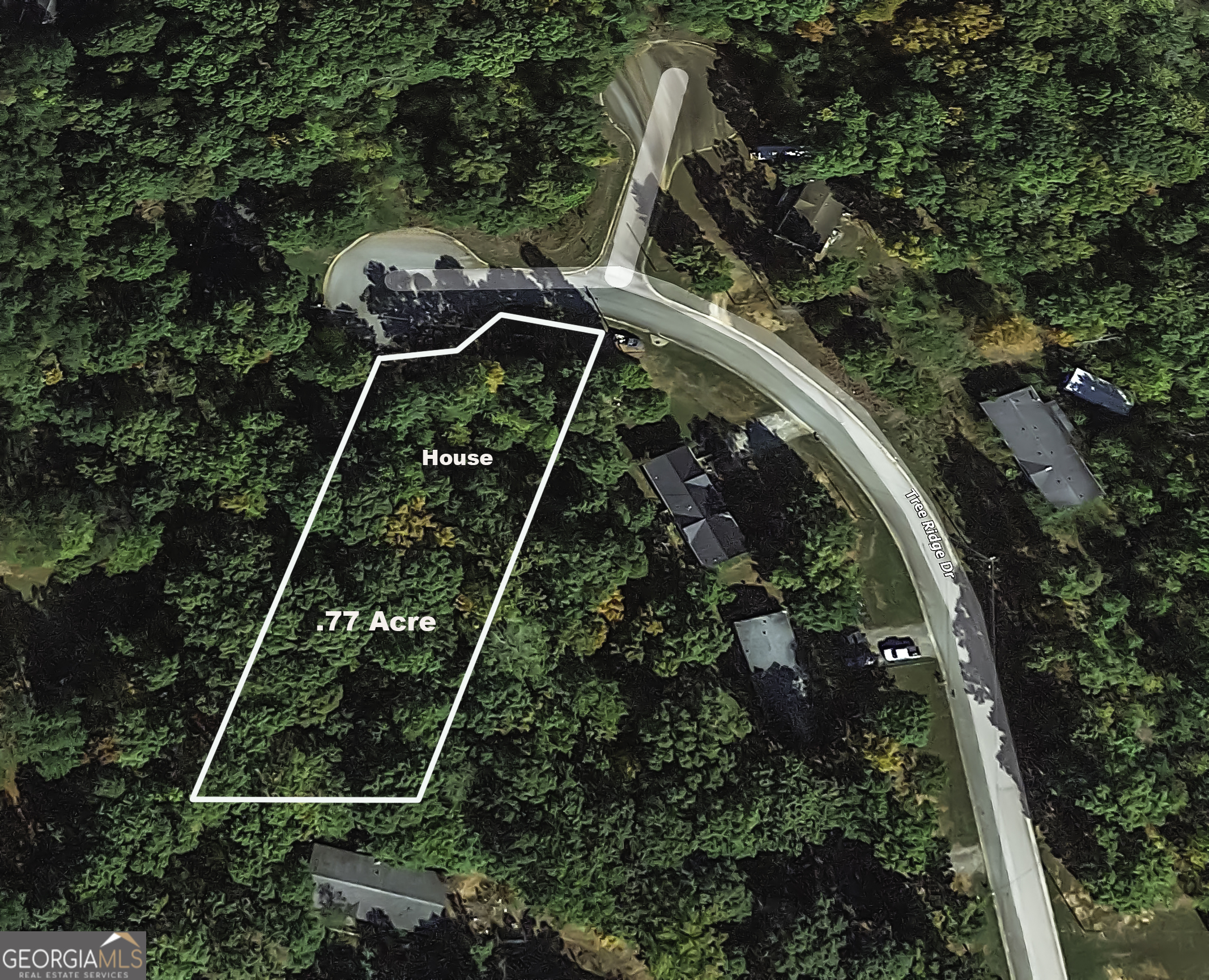 530 Tree Ridge