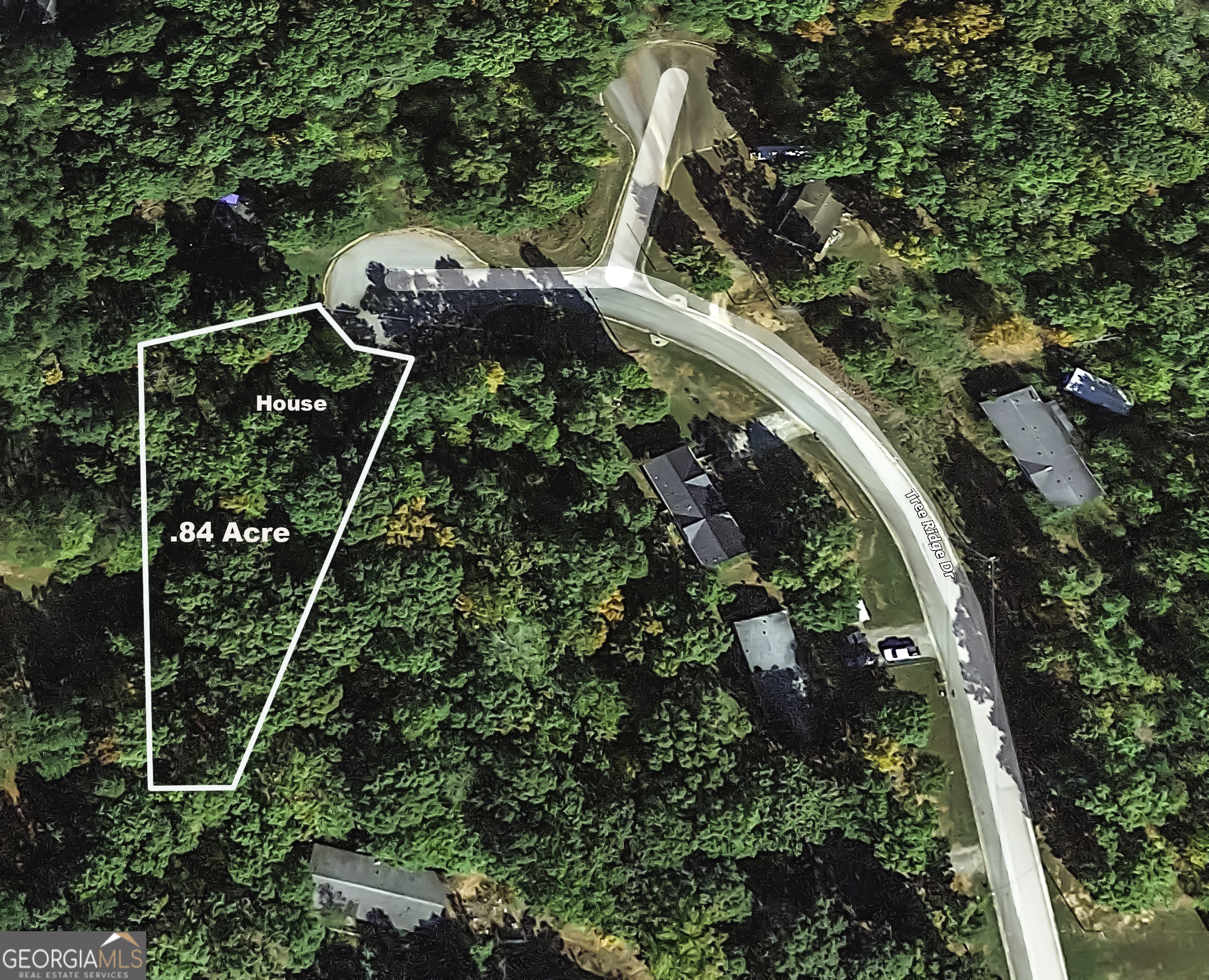 534 Tree Ridge