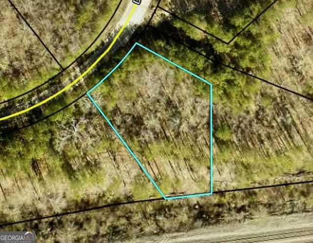 Aerial view of a wooded vacant lot outlined beside a road.