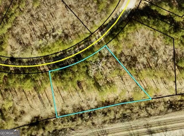 Aerial view of a wooded parcel outlined in turquoise beside a road.