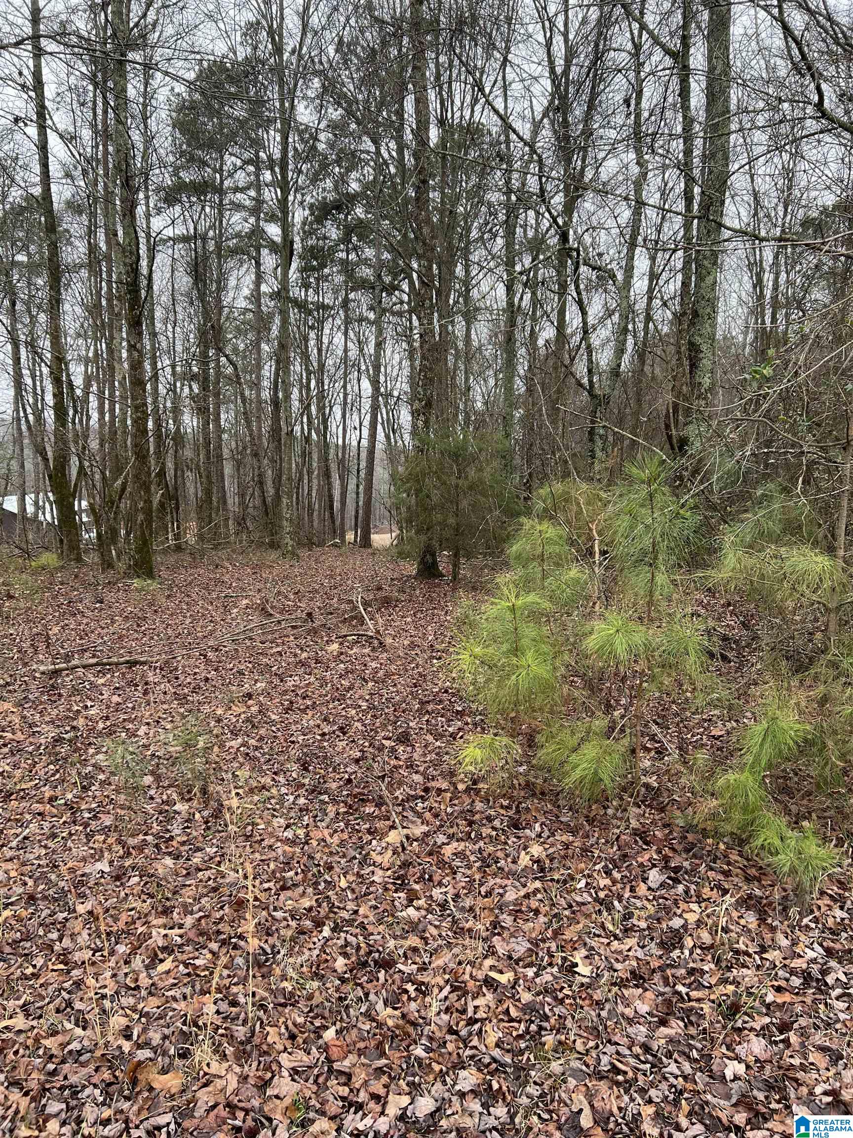 0 COUNTY ROAD 87 1