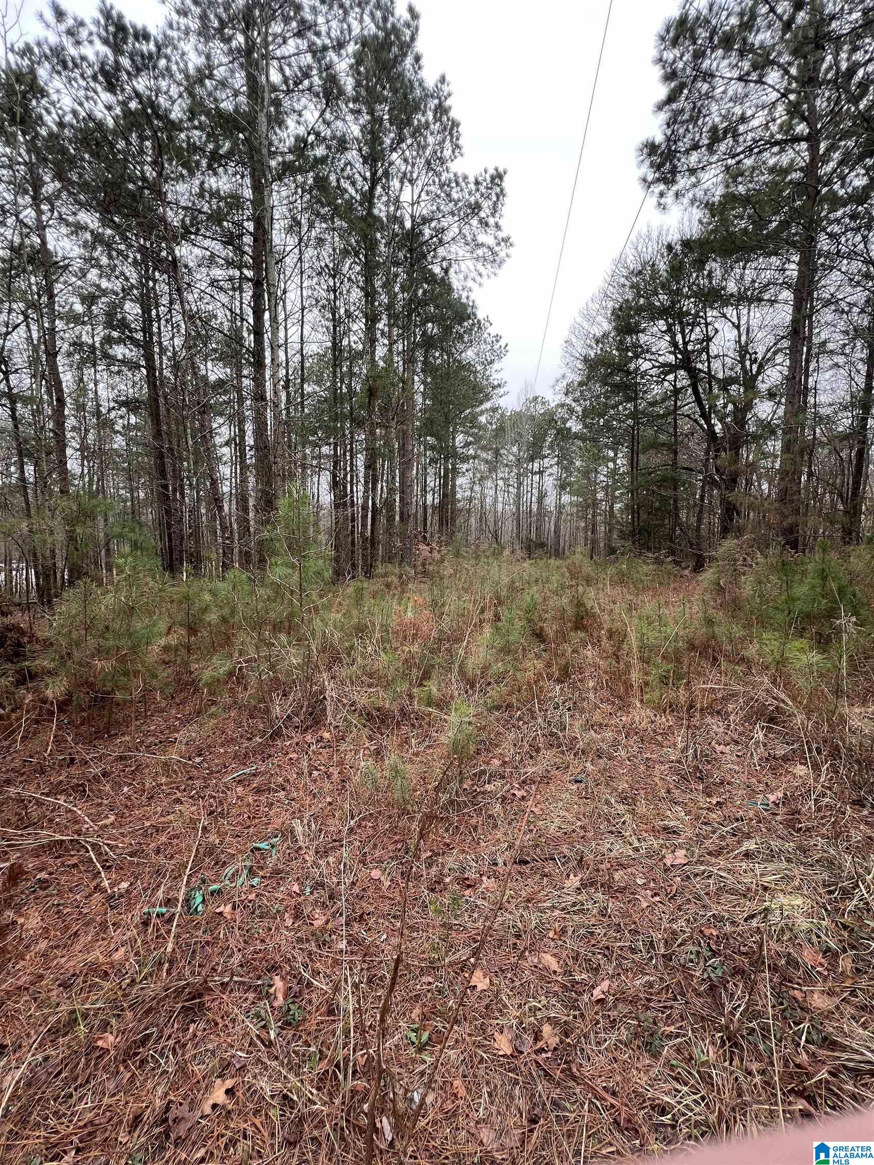 17981 COUNTY ROAD 87