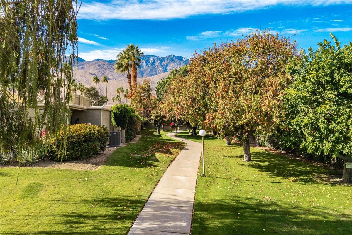 1602 S Cerritos DR Unit: C