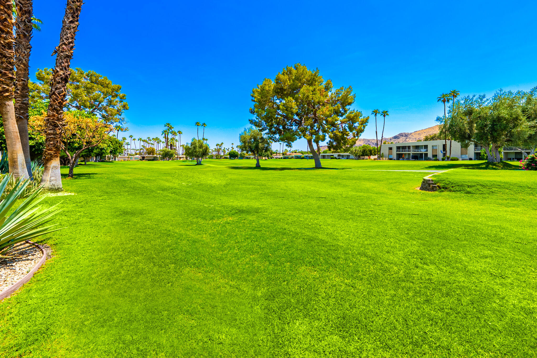 519 Desert Lakes DR