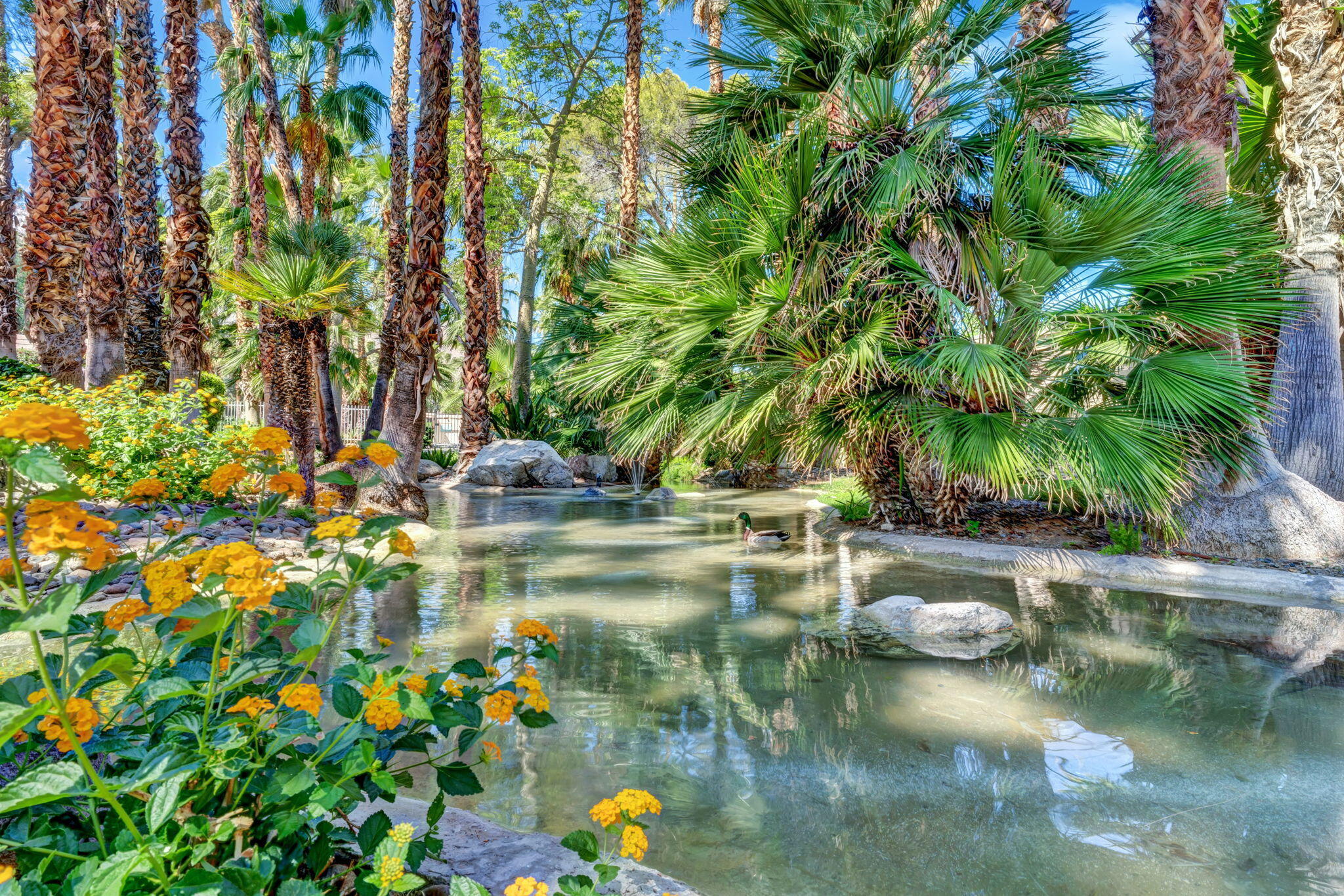 360 Cabrillo RD Unit: 103