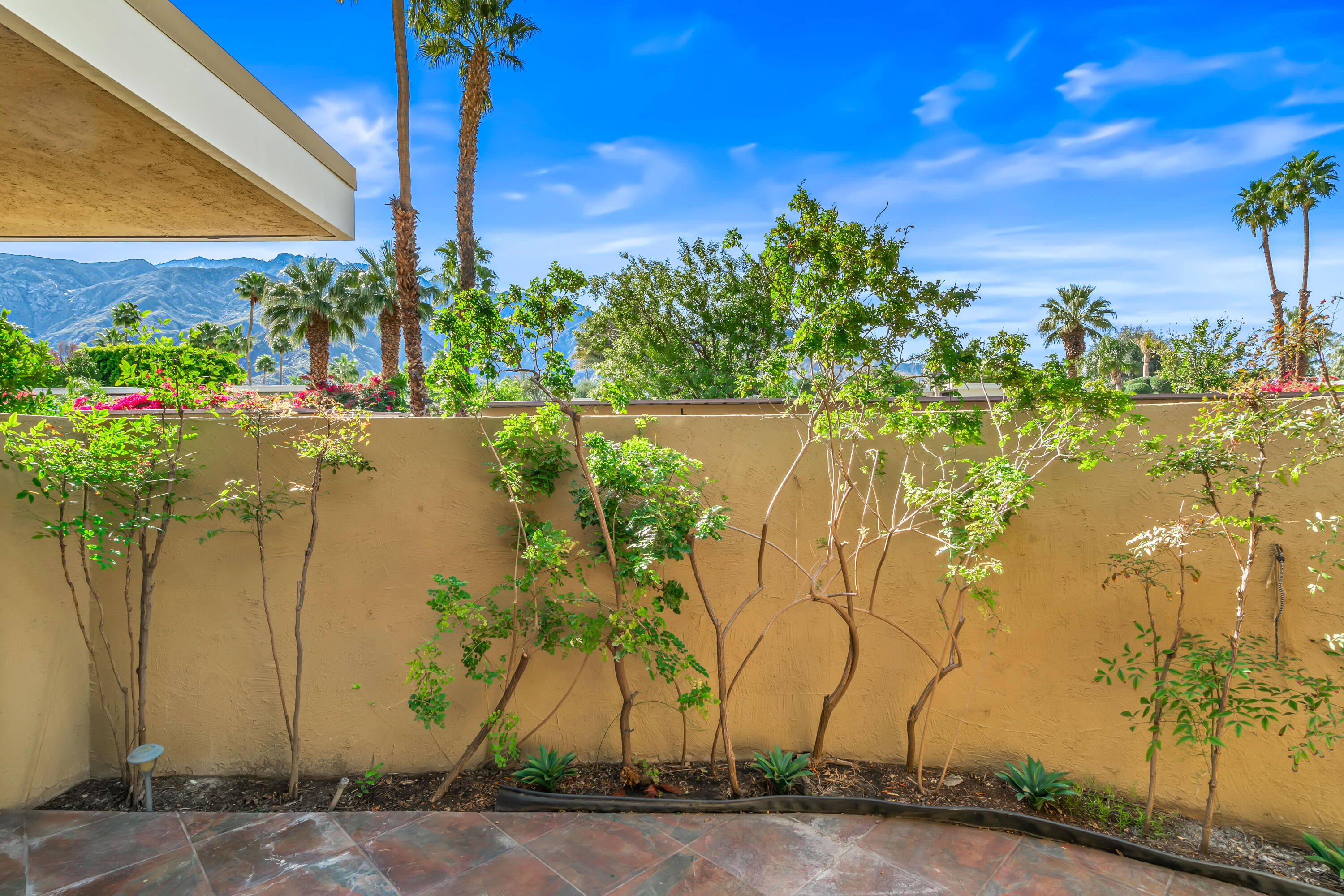 2501 N Indian Canyon DR Unit: 631