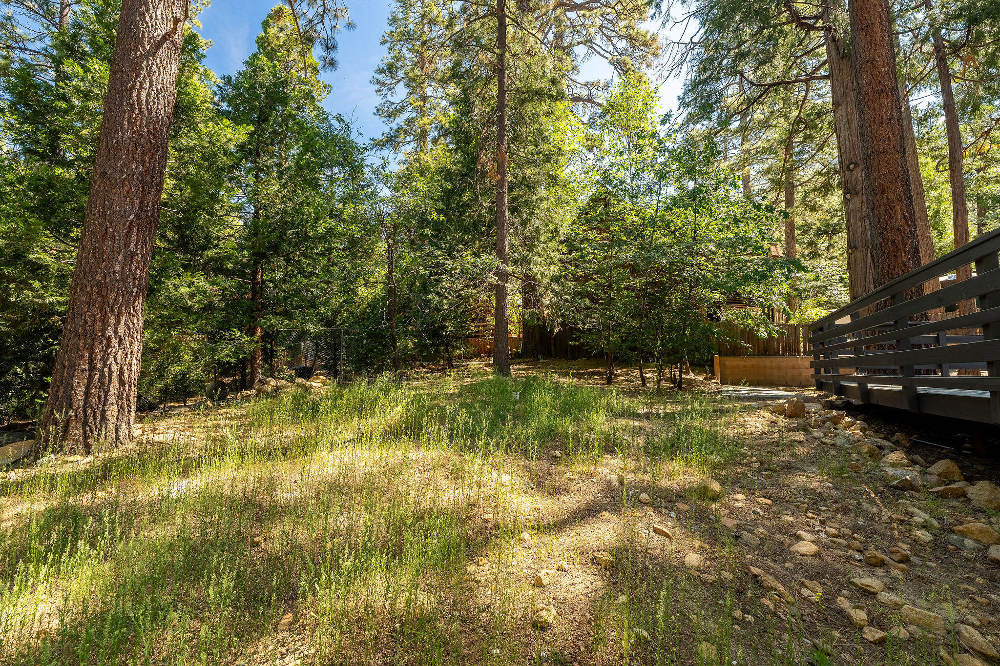 54970 Daryll RD