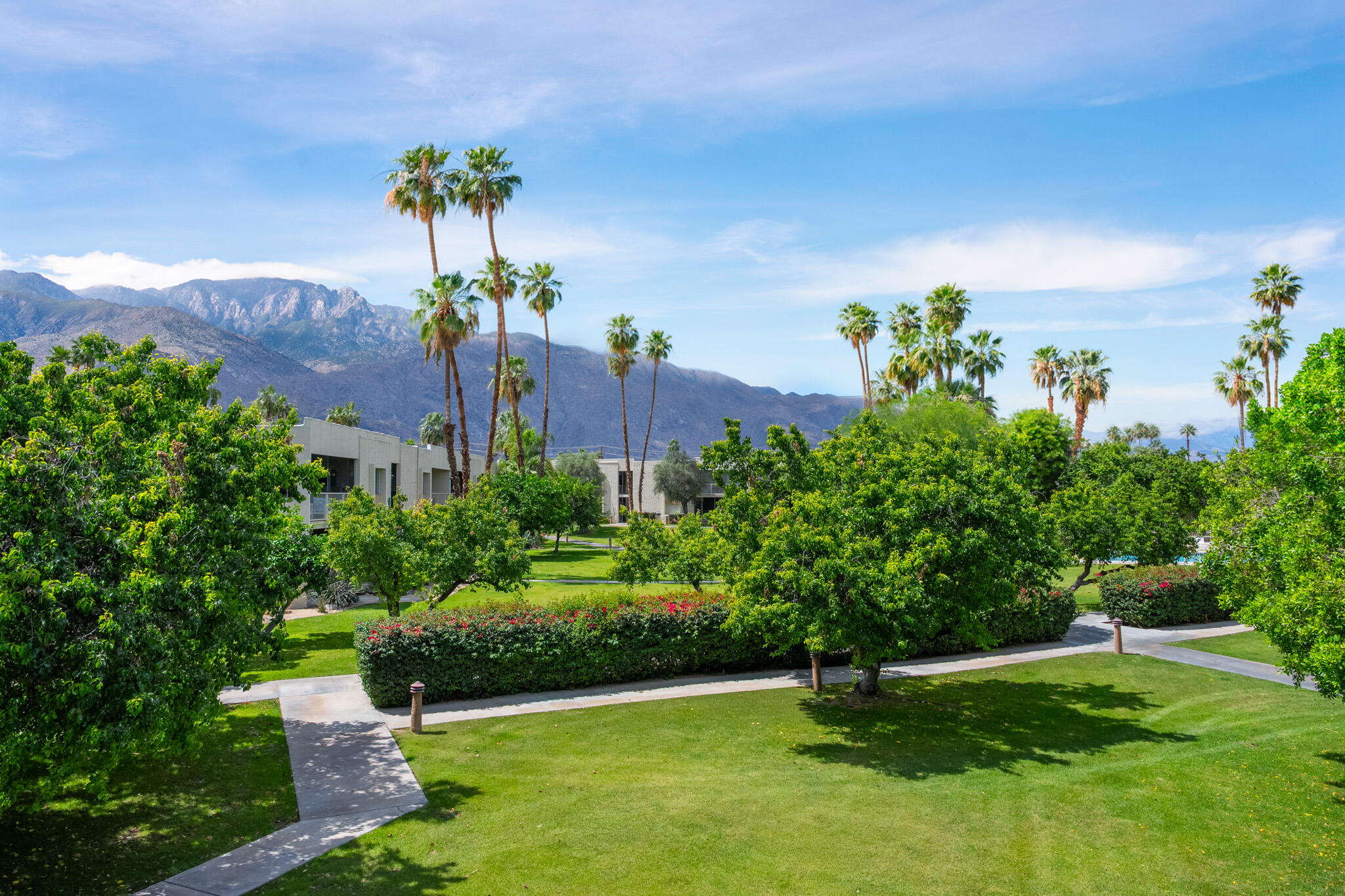 439 Desert Lakes Drive DR