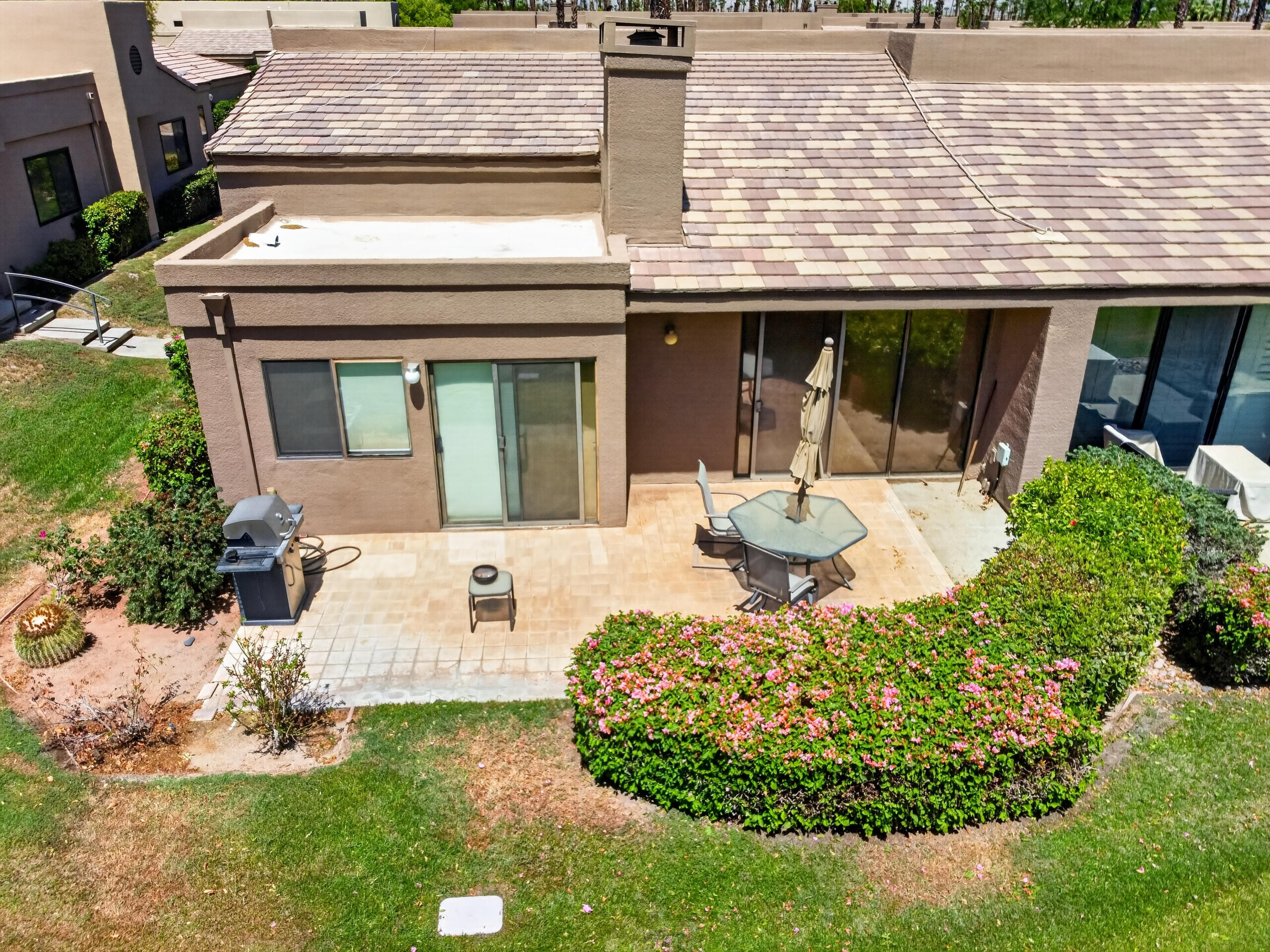 76683 Chrysanthemum WAY