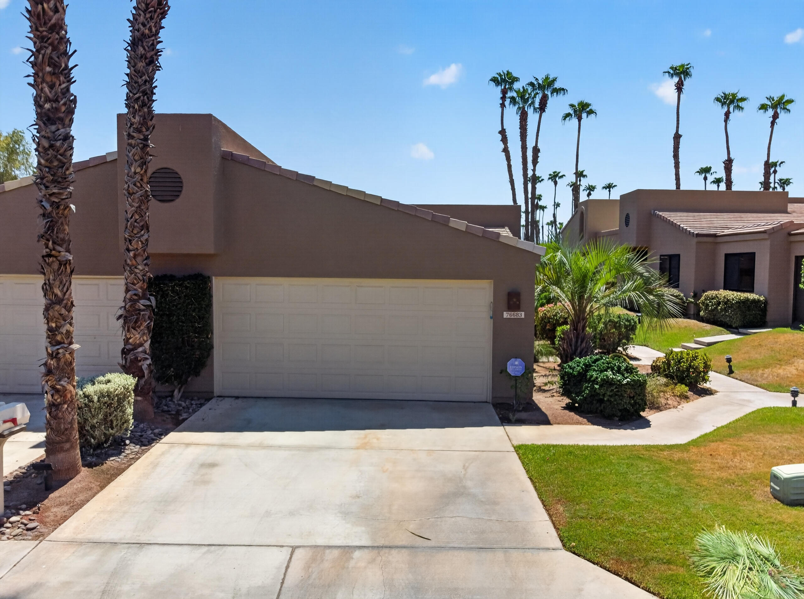 76683 Chrysanthemum WAY