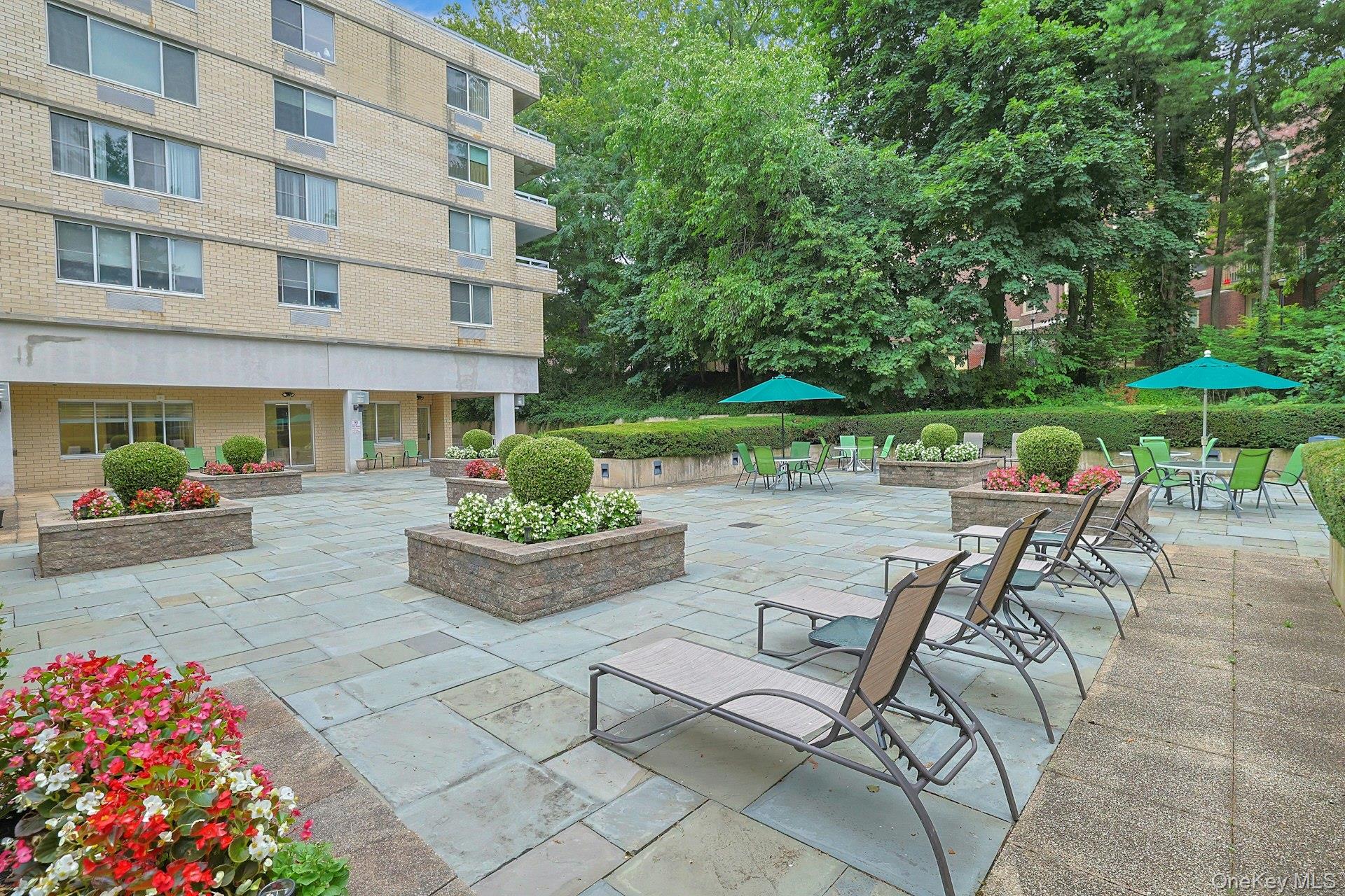 1270 North Avenue Unit: 1c
