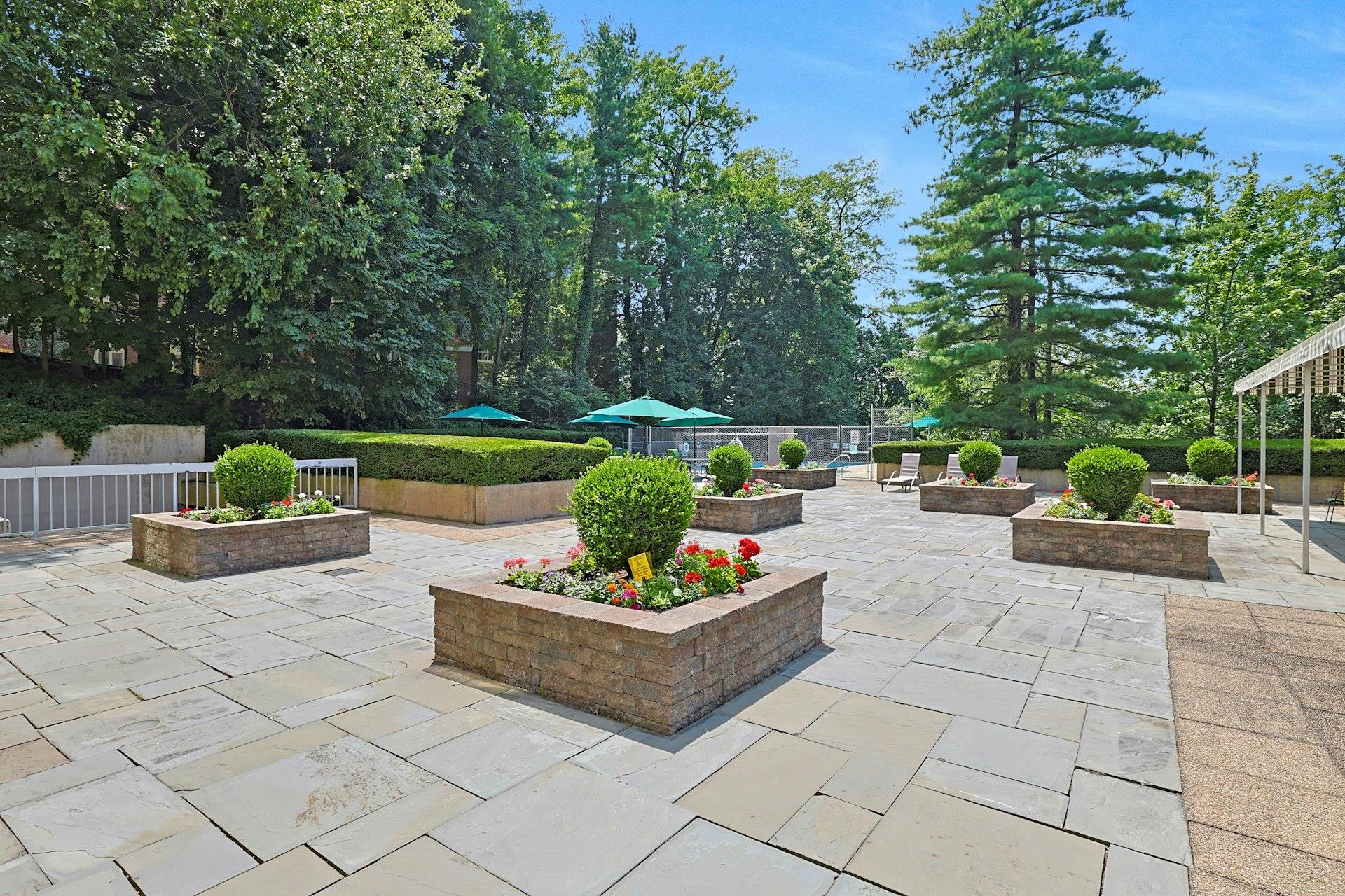 1270 North avenue Unit: 3m