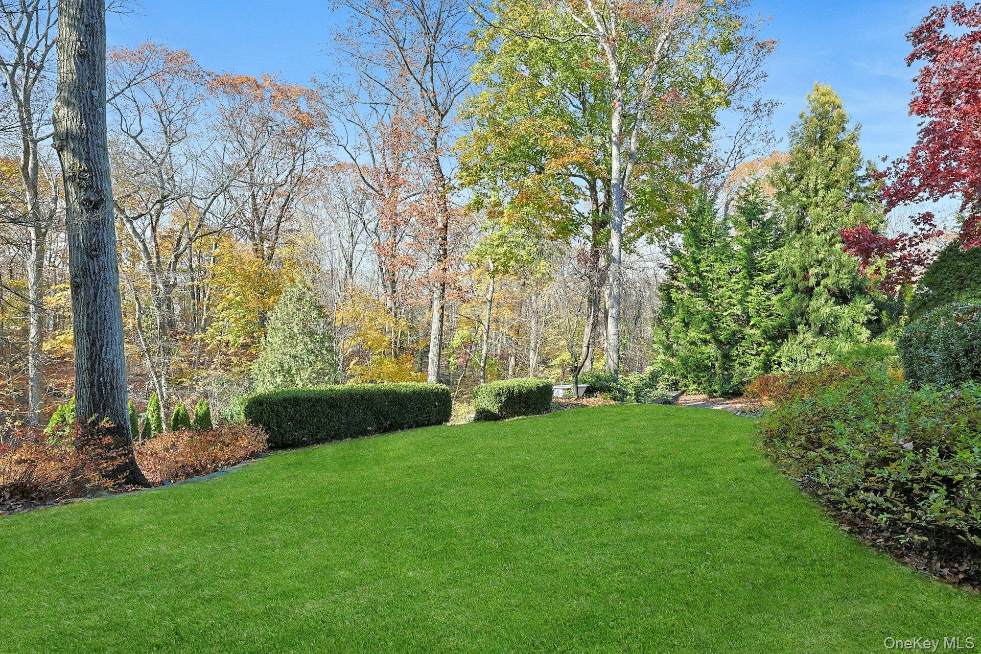 36 Beechtree Drive