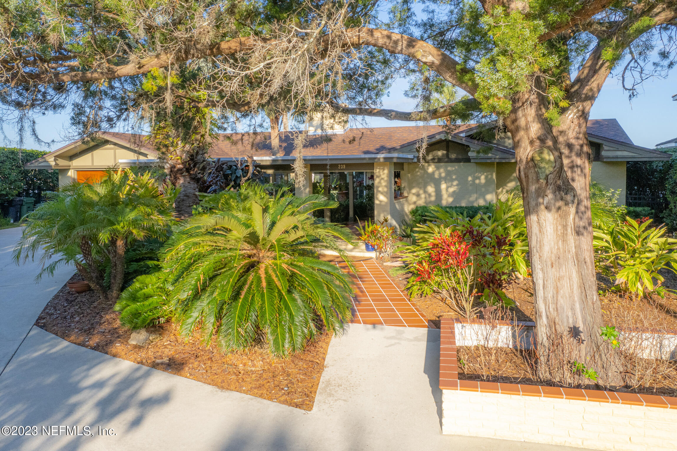 239 S MATANZAS Boulevard
