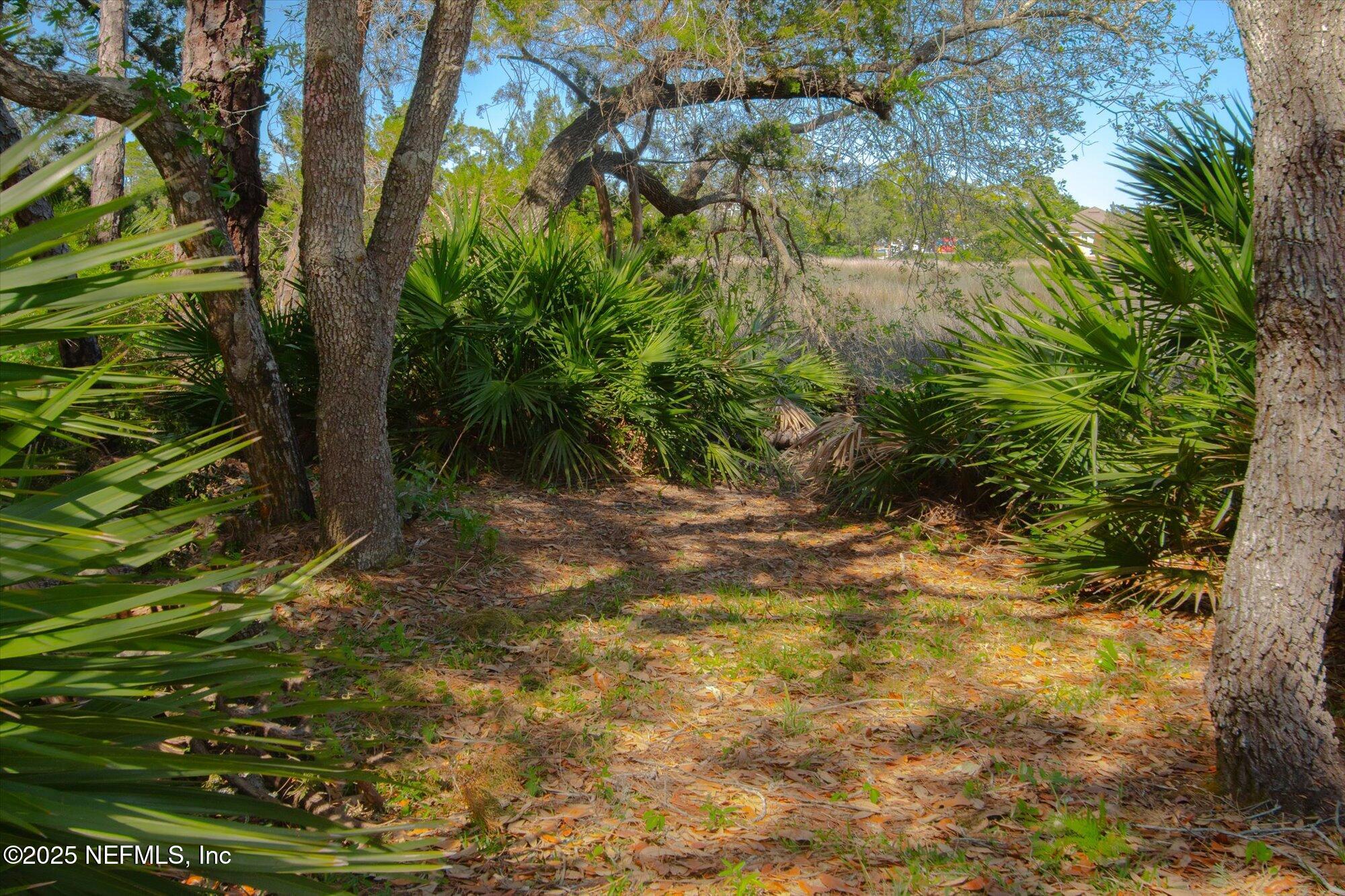 3330 LEWIS SPEEDWAY, St. Augustine