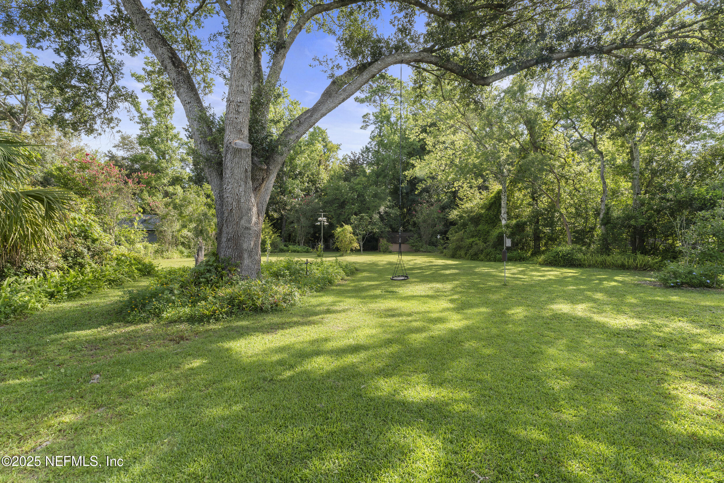 569 WATER OAK Lane
