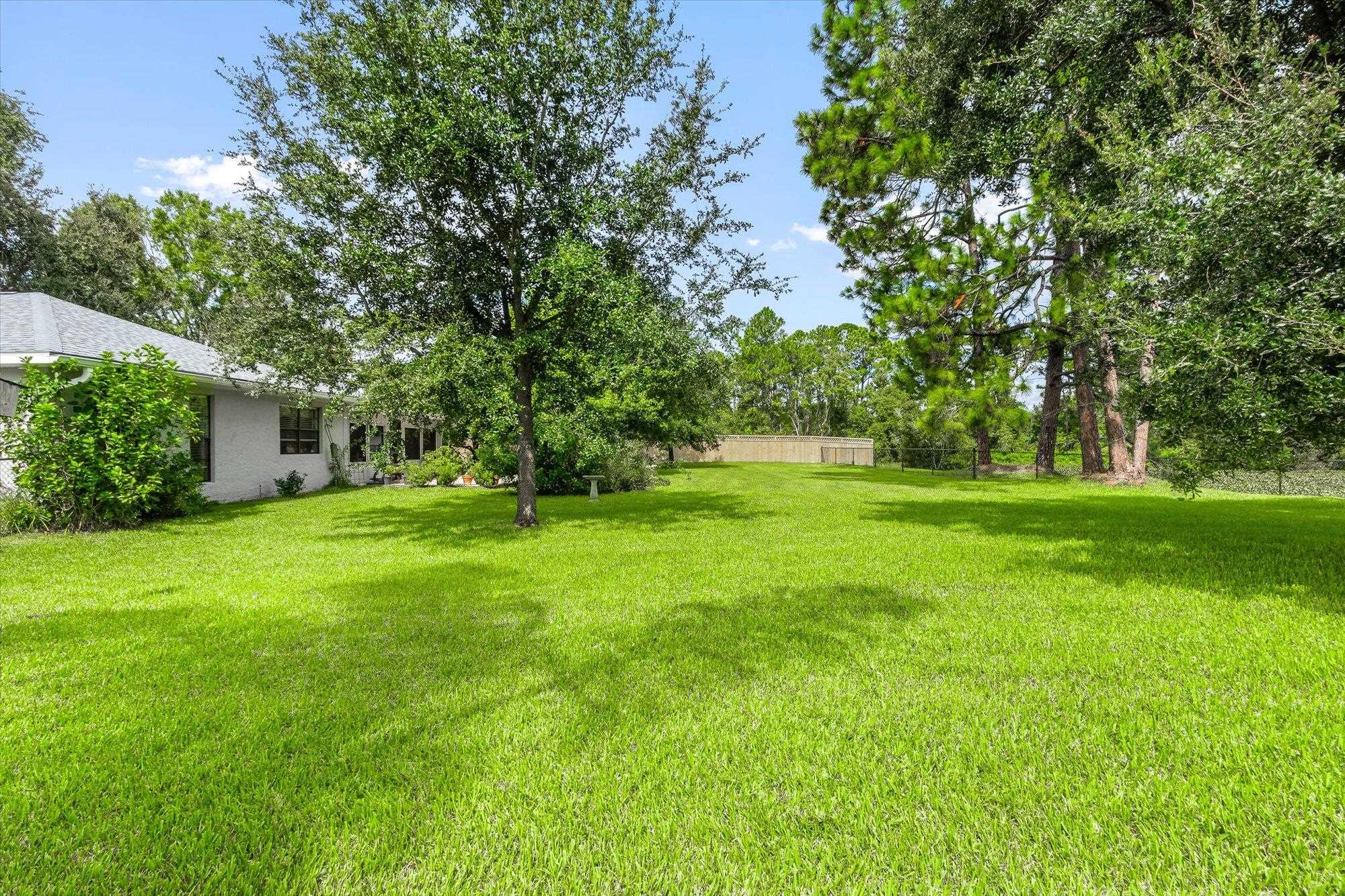 525 Domenico Cir