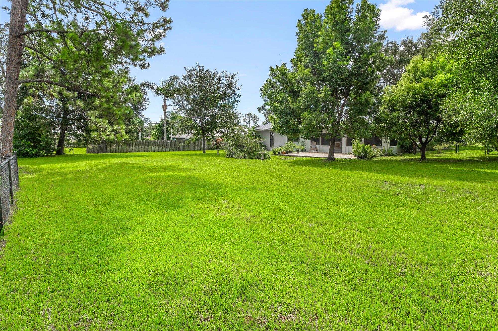 525 Domenico Cir