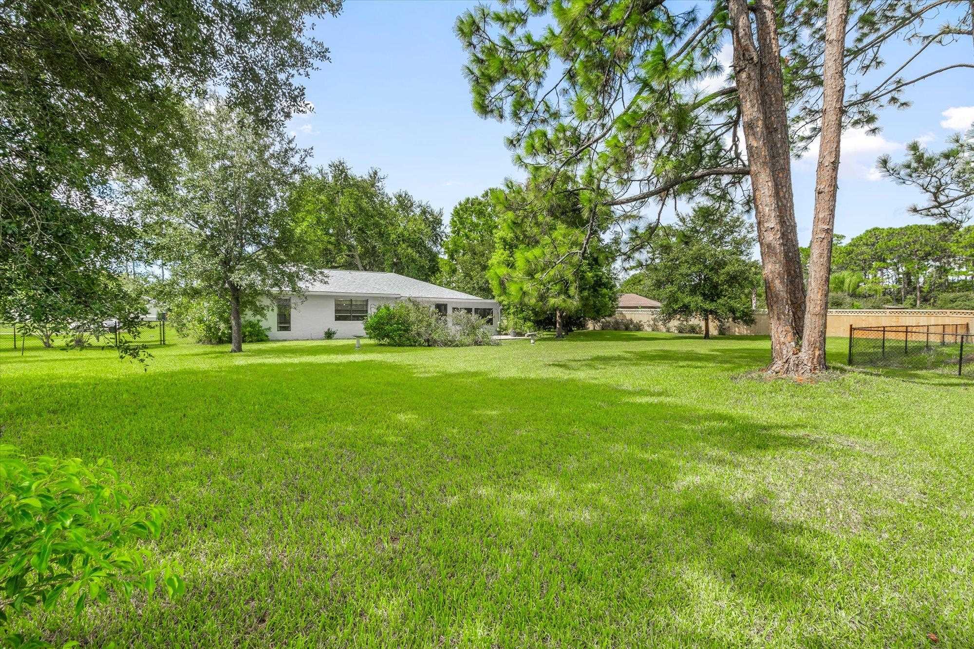 525 Domenico Cir
