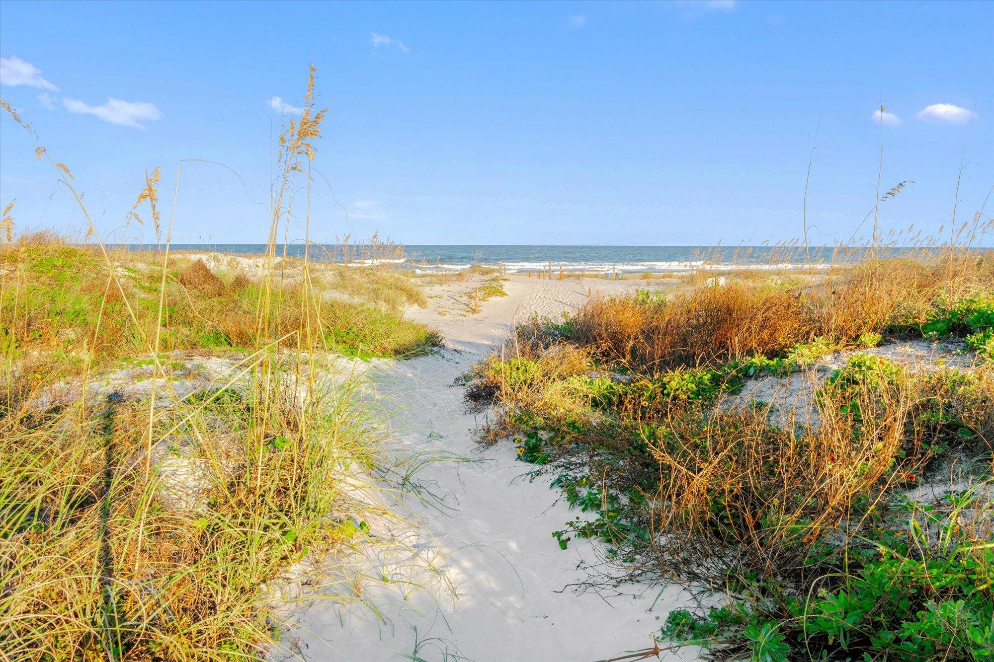 1 Ocean Trace Rd Unit: 242