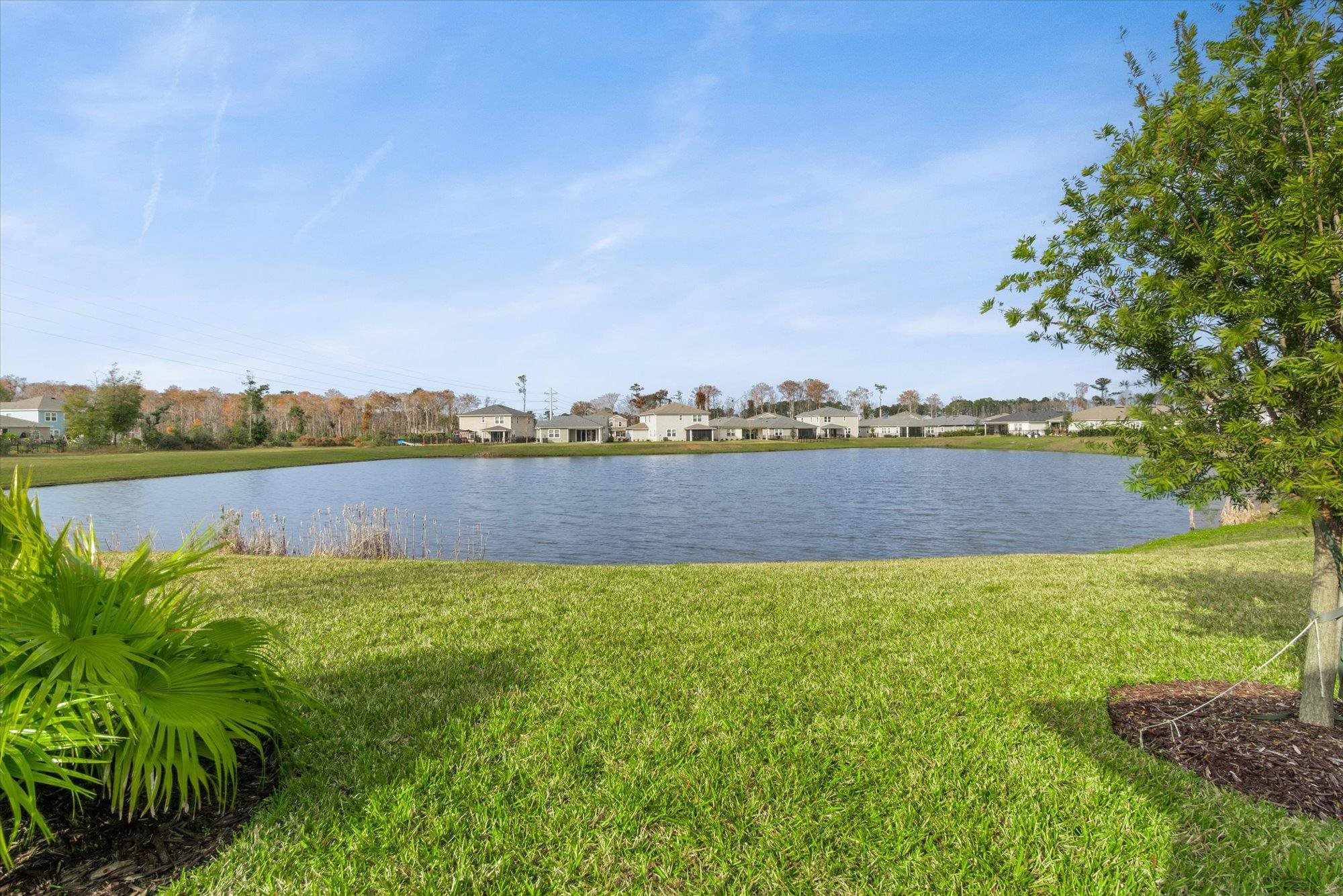 204 Field Flower Way
