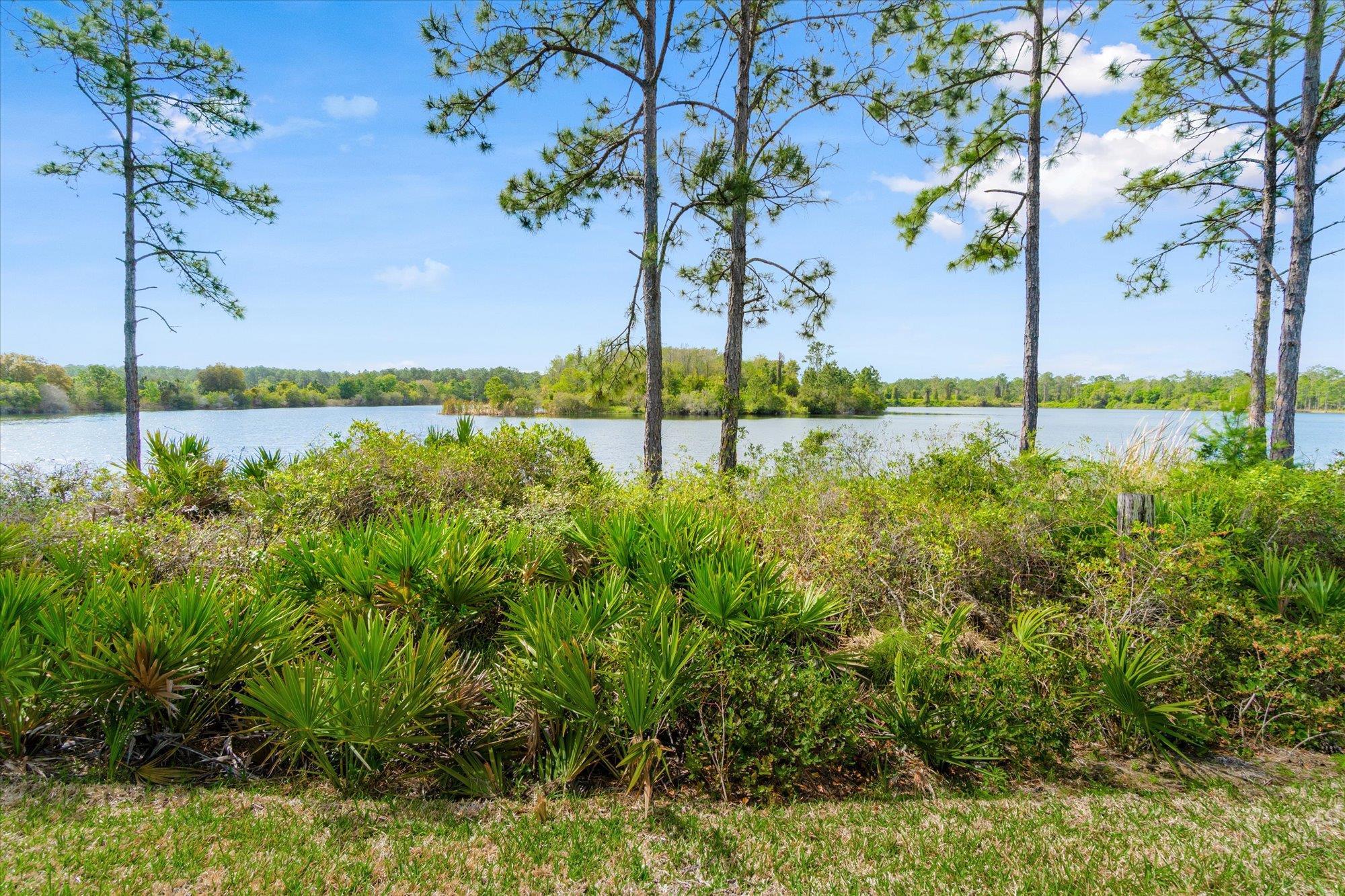 89 Kingsley Park Way