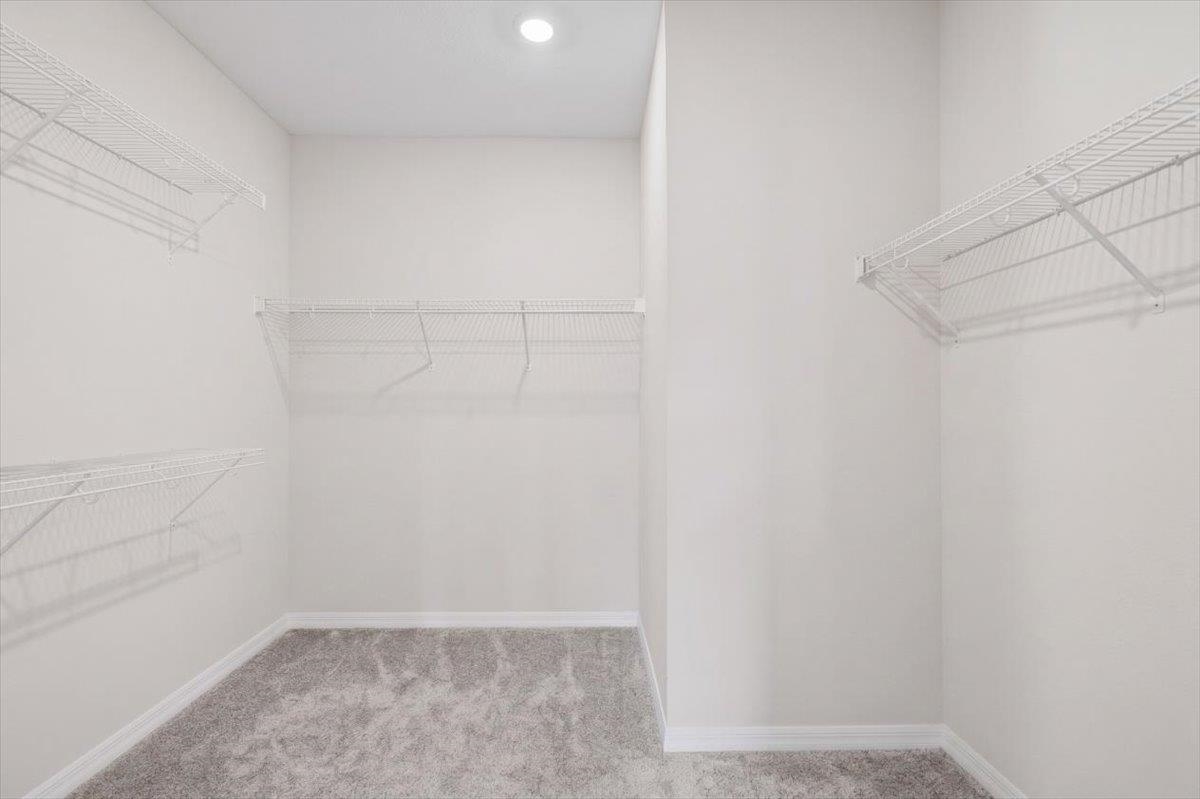 289 Cherry Elm Dr