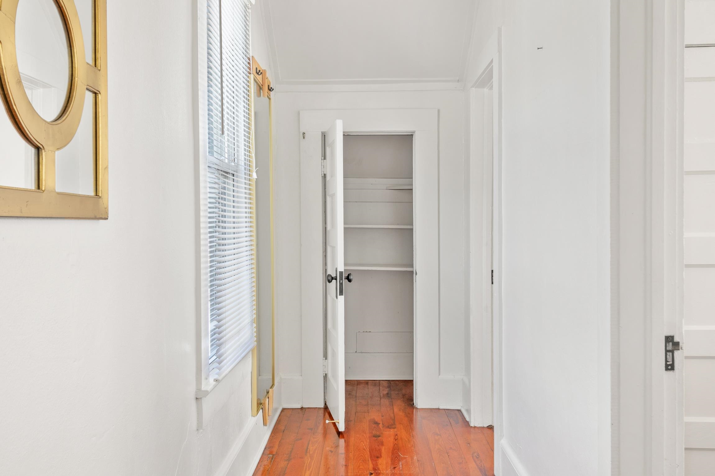 8 Mulvey Street