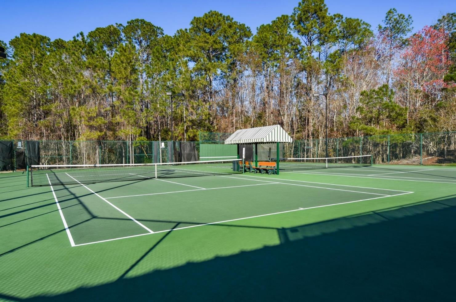 4644 Tuscan Wood Ct