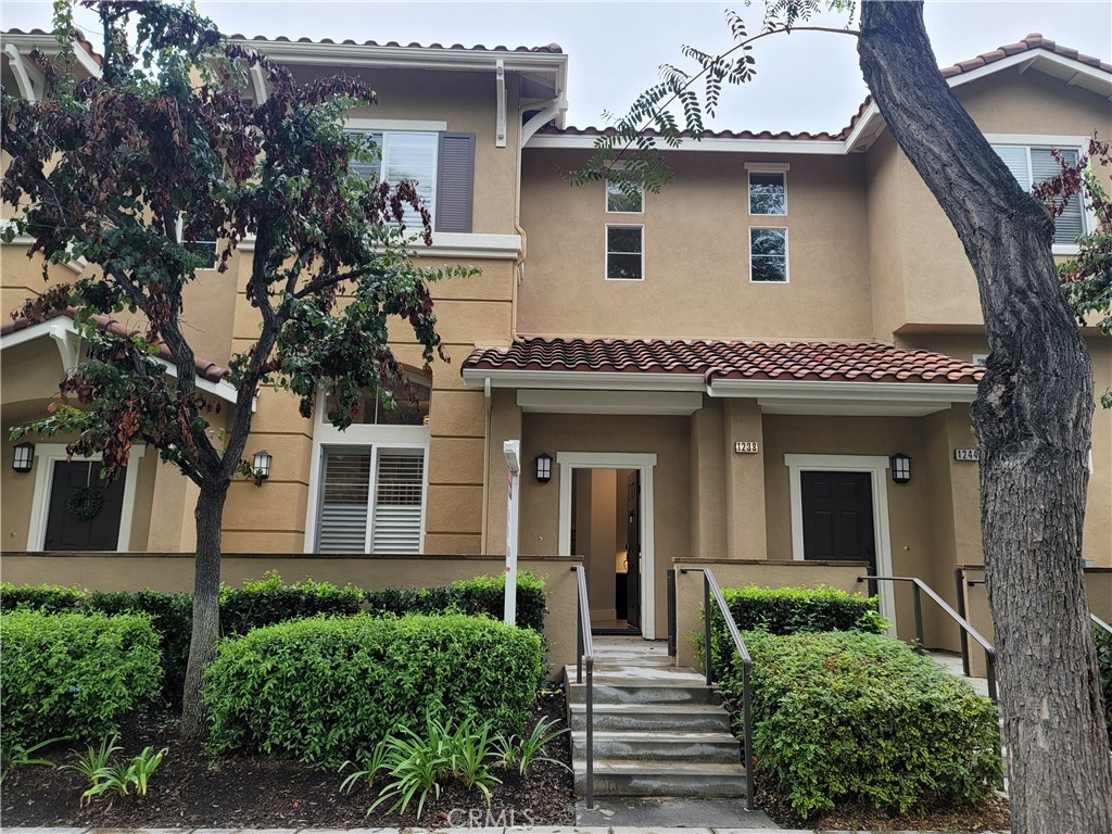 1238 Olson Drive