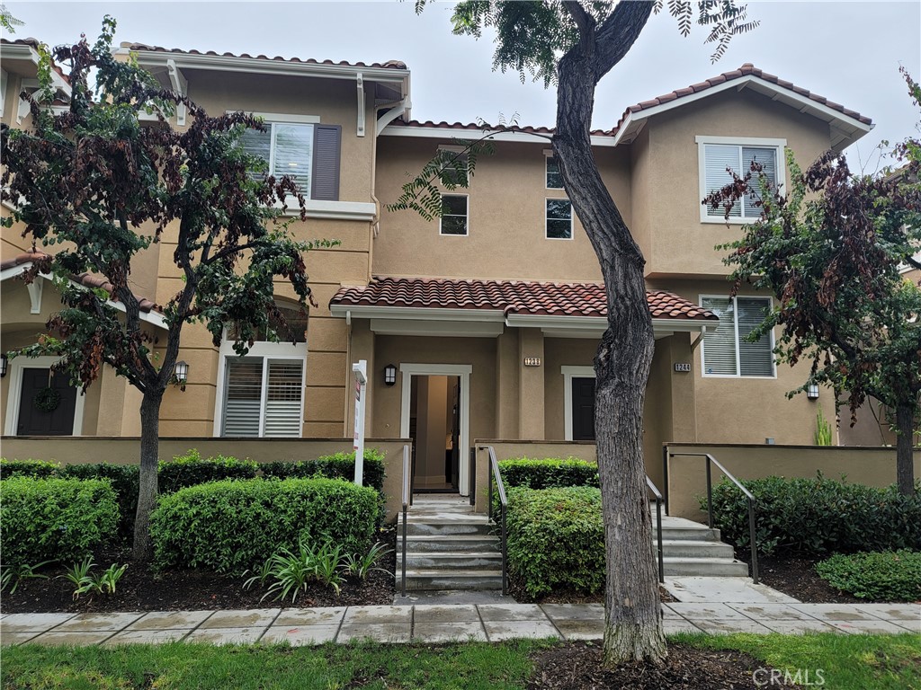 1238 Olson Drive