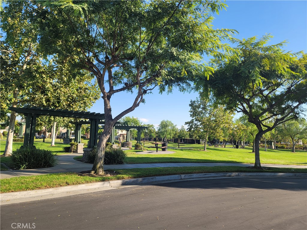 1238 Olson Drive