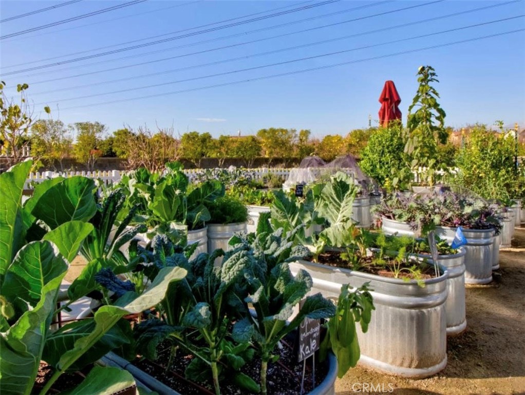 15823 Elfin Forest Avenue