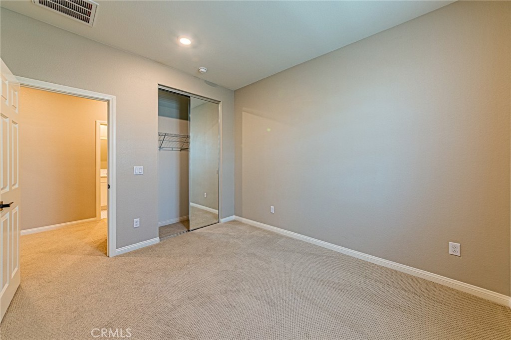 1705 Almond Tree