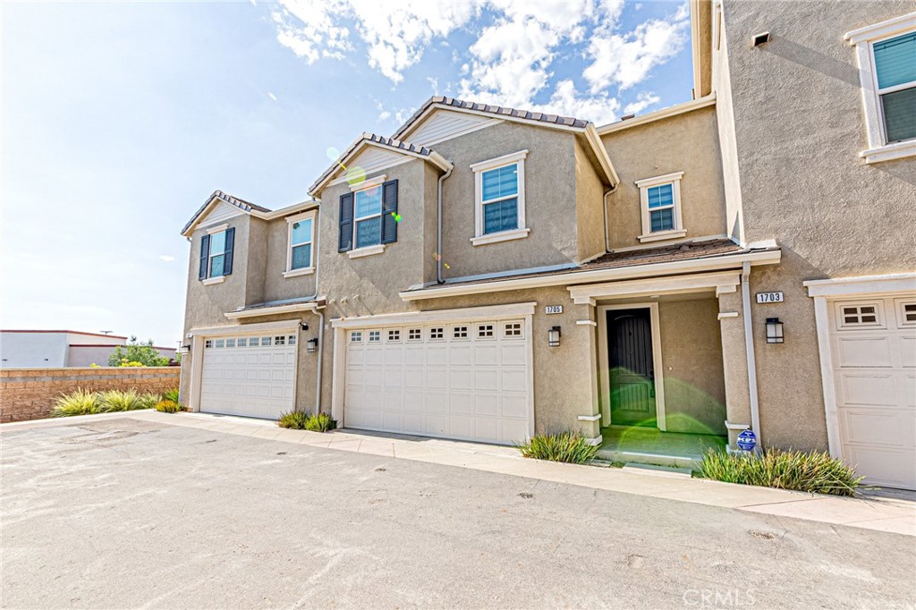1705 Almond Tree