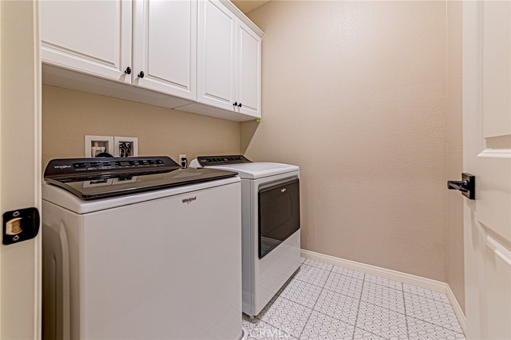 1705 Almond Tree