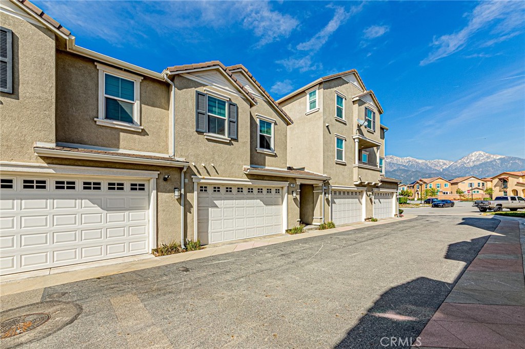 1705 Almond Tree