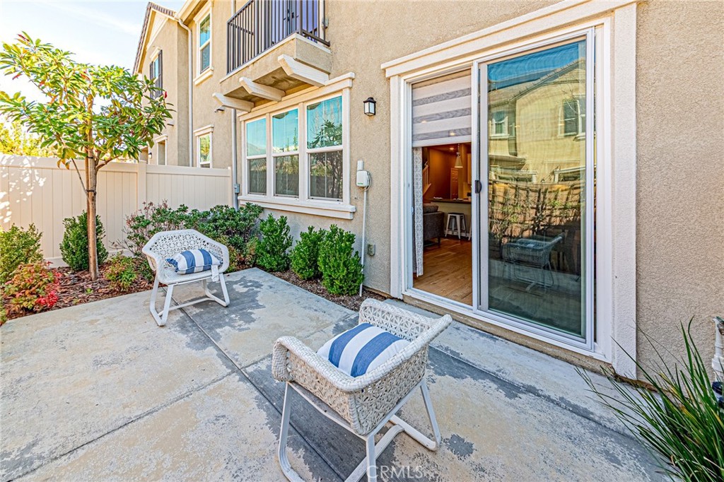 1705 Almond Tree
