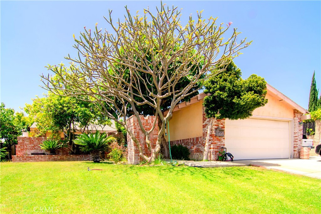 323 S Palo Cedro Drive