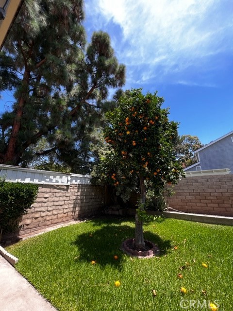 14852 Doheny Circle