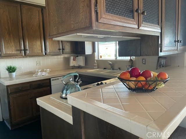 421 S Del Sol Lane