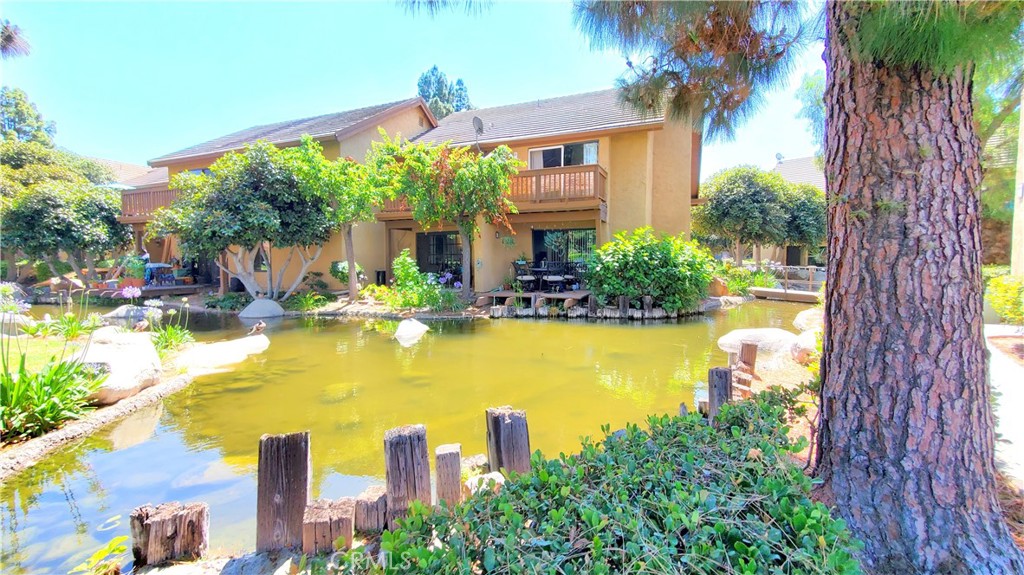 387 Orange Blossom 131