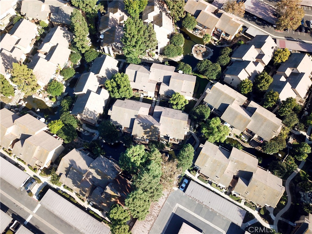 387 Orange Blossom 131