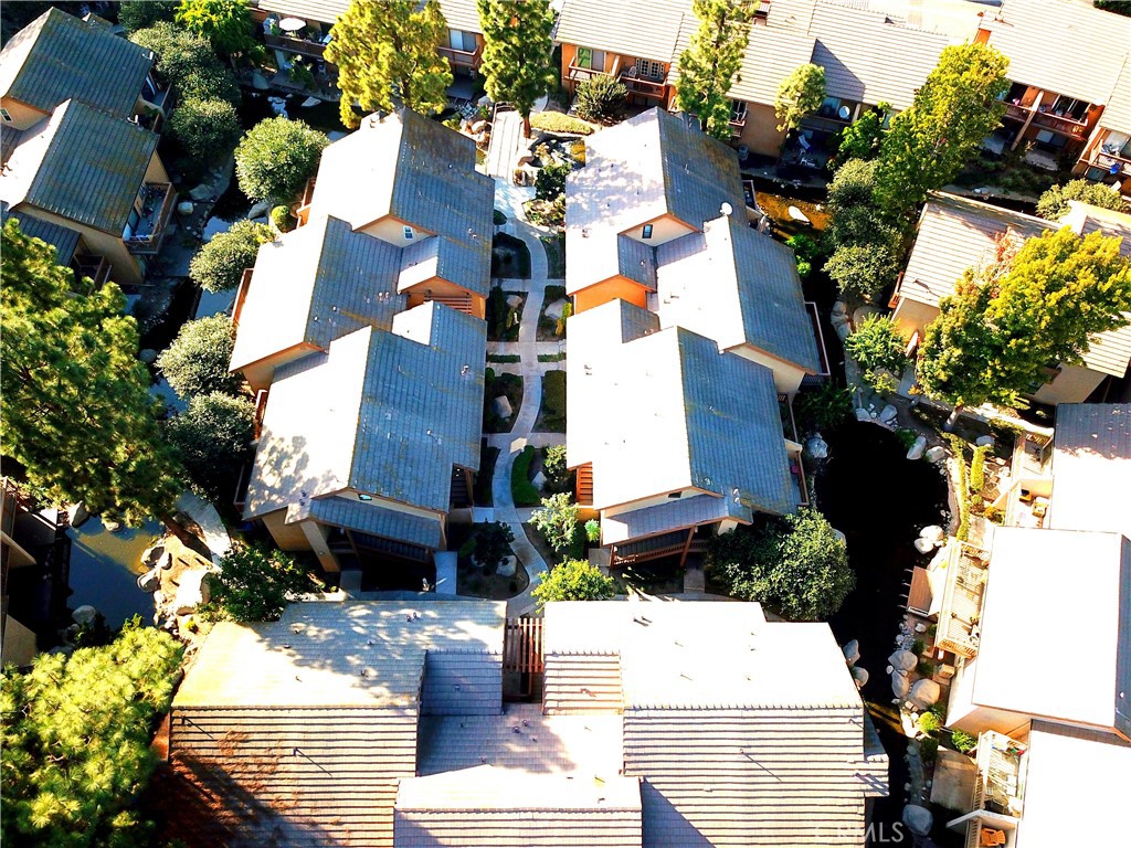 387 Orange Blossom 131