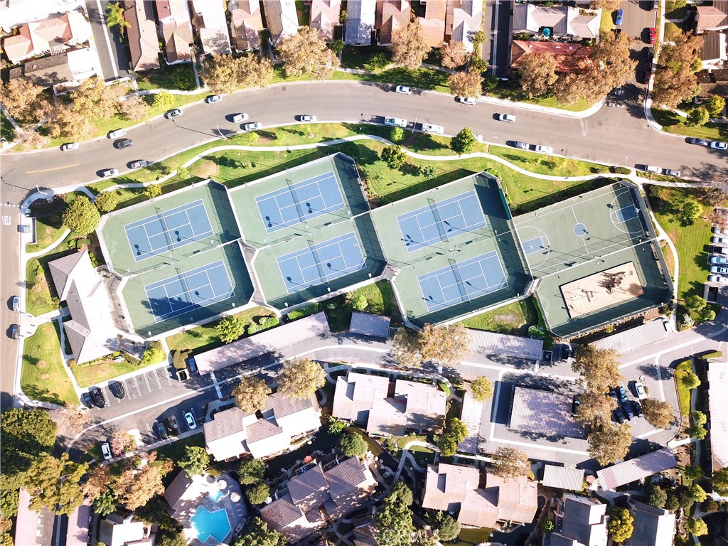 387 Orange Blossom 131