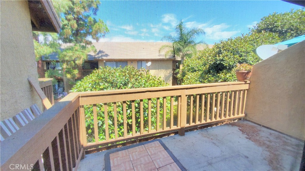 387 Orange Blossom 131