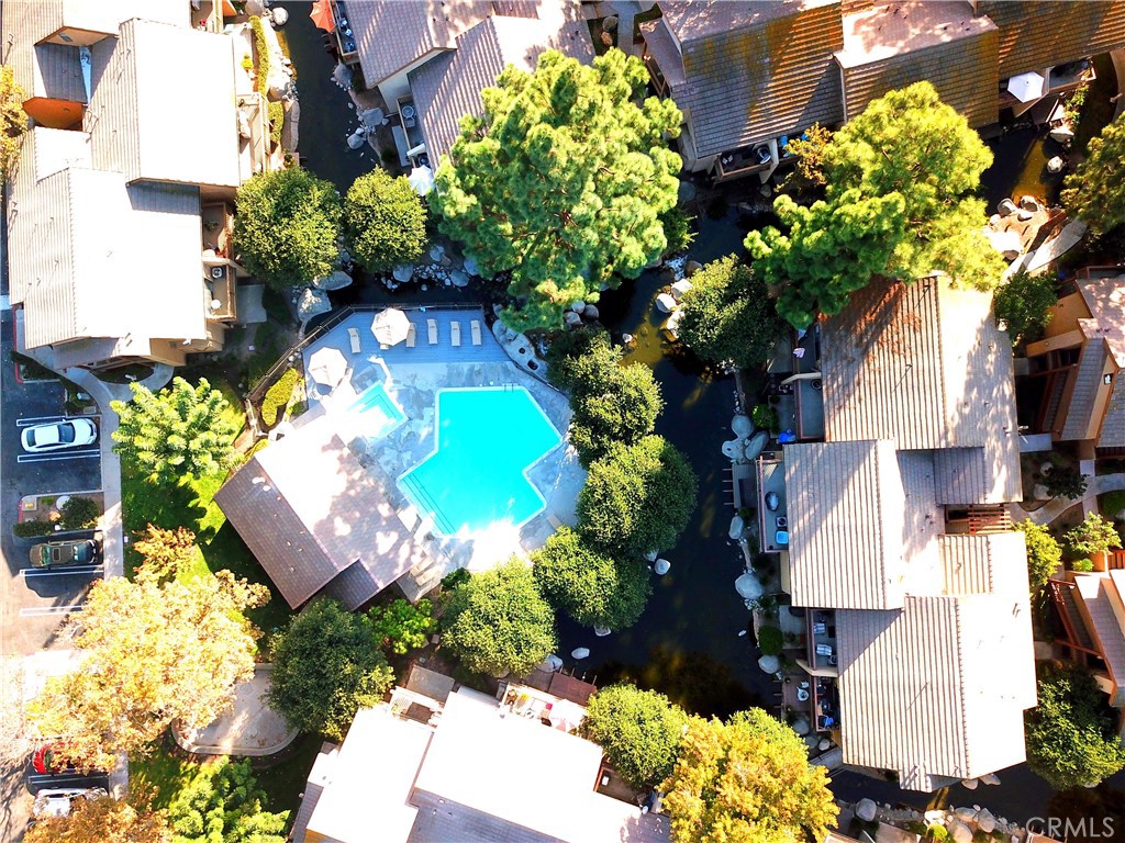 387 Orange Blossom 131